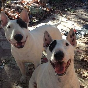 Meet your Posher, Martin